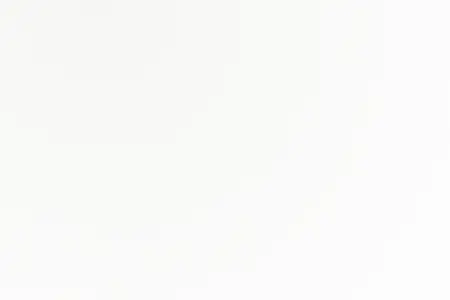 Immagine Bianco Opaco 1011PE