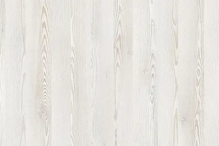 Immagine Larice Bianco Pino 03