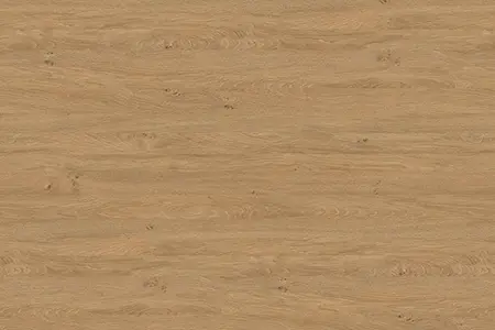 Immagine Rovere 14